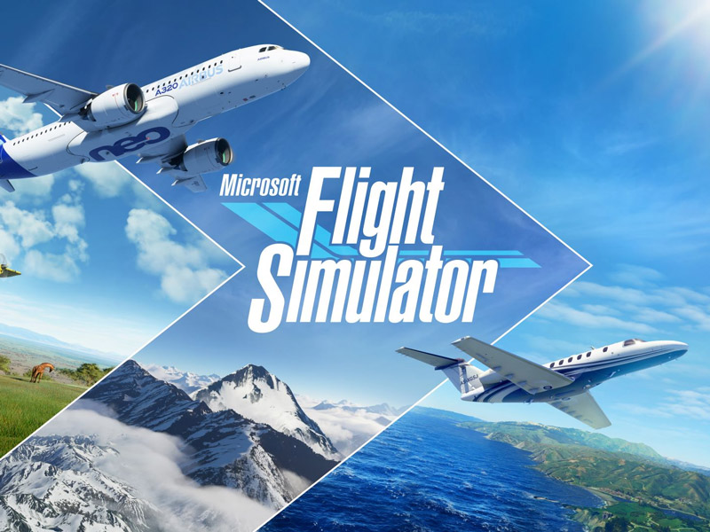 Microsoft Flight Simulator