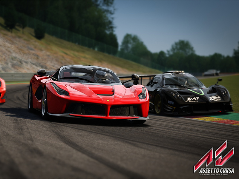 Software - Commercial License - Assetto Corsa Commercial Pro (NVC)