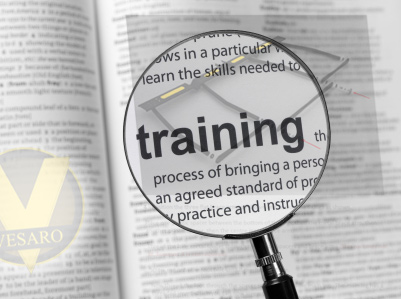Vesaro Global HQ Training Programmes - Setup & Training
