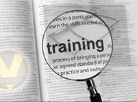 Vesaro Global HQ Training Programmes